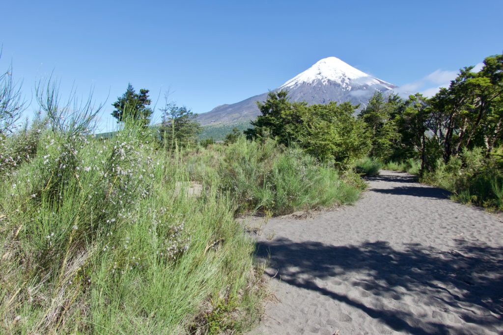 Vulkan Osorno vom Sendero Desolación