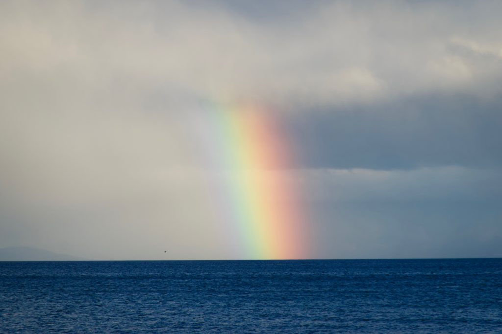 Regenbogen in Punta Arenas